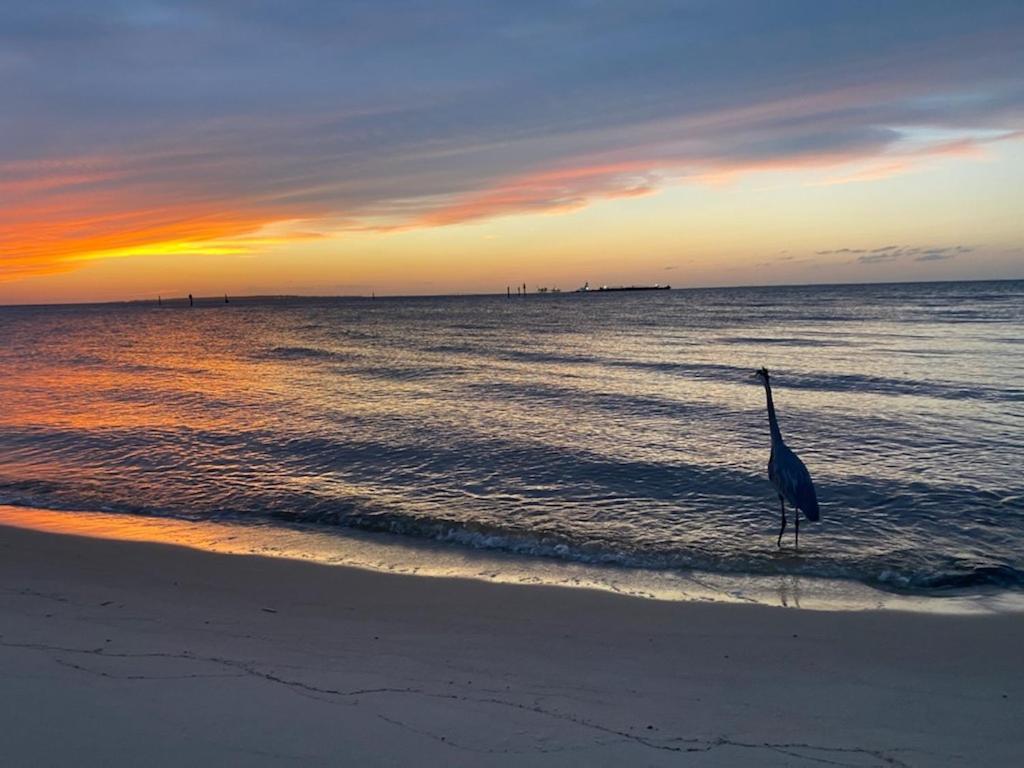 Budget Friendly Condo Within Walking Distance To The Beach! Gulf Shores Εξωτερικό φωτογραφία